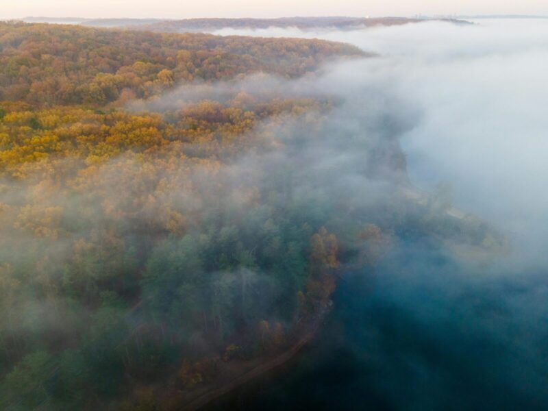 Aerial view of a misty forest in fall, with vibrant foliage shrouded in fog.