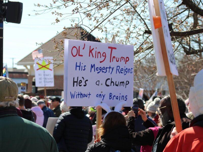 Crowd at a protest holding a sign that reads "Ol' King Trump" and "He's a Chump Without any Brains".