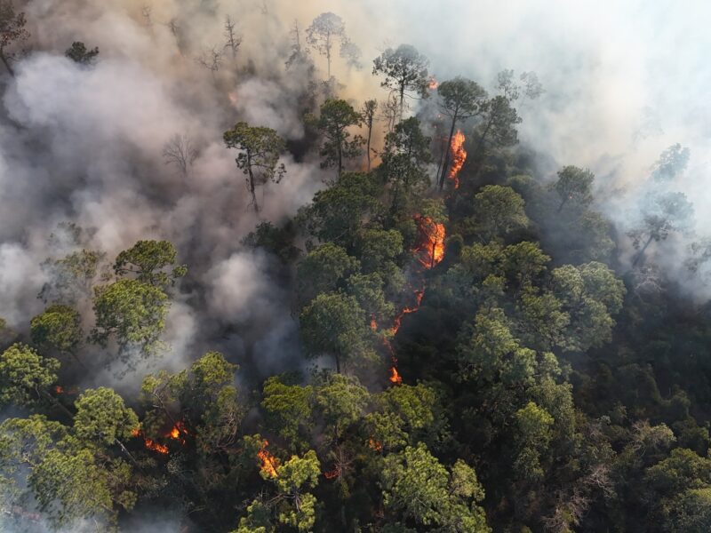 Aerial view of a forest wildfire with thick smoke and flames burning through dense green trees.