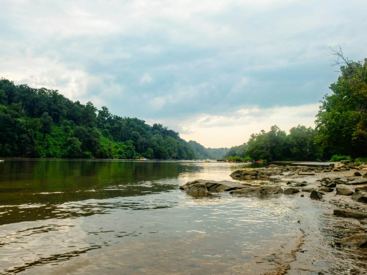 green trees beside river under white clouds during daytime