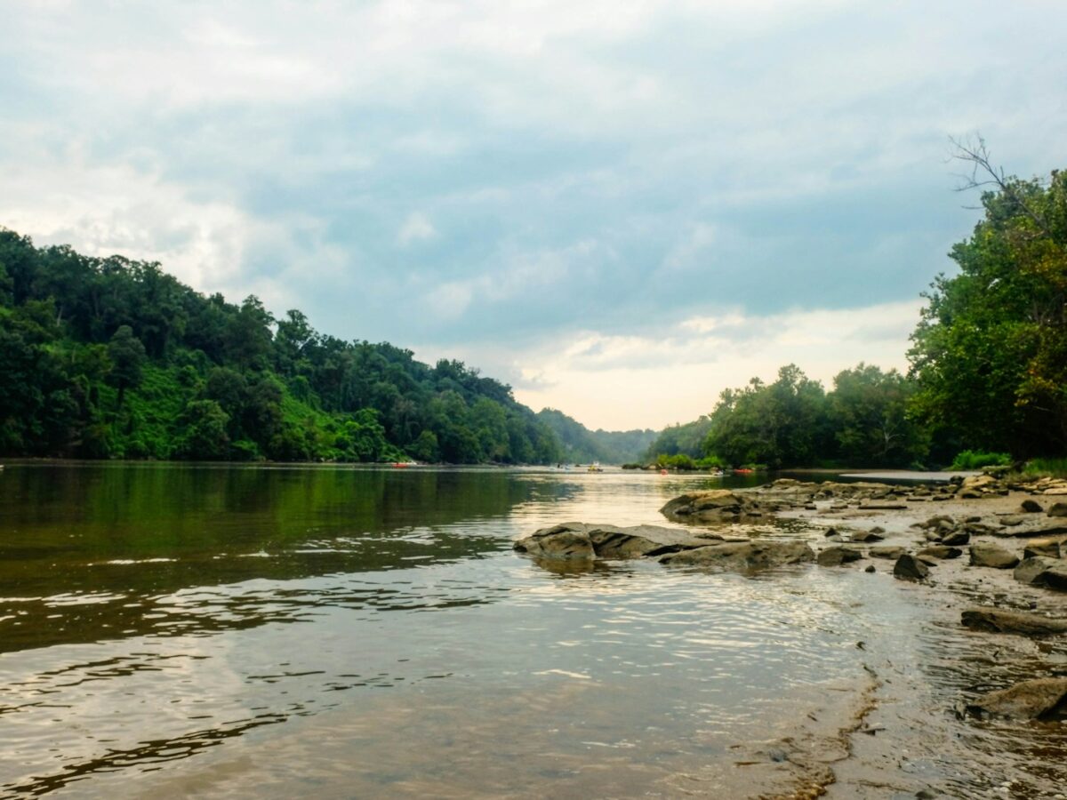 green trees beside river under white clouds during daytime