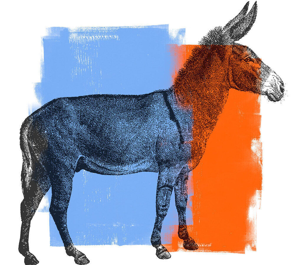 Sketch of a horse over blue and orange paint blocks on a white background.