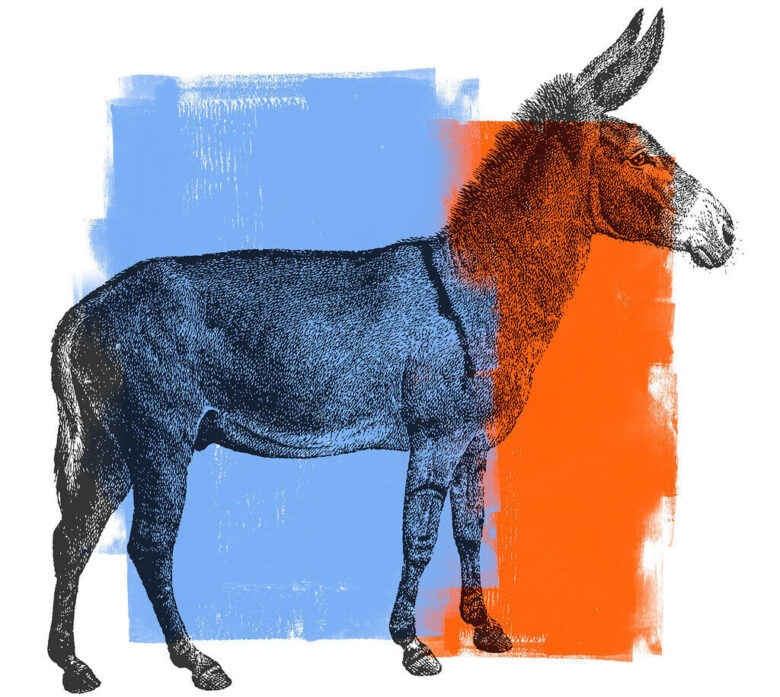 Sketch of a horse over blue and orange paint blocks on a white background.