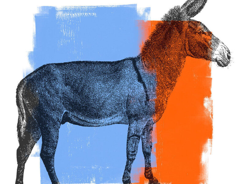 Sketch of a horse over blue and orange paint blocks on a white background.