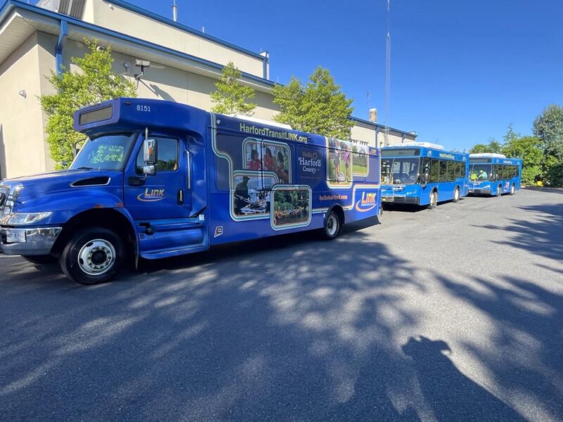 Blue transit shuttle buses parked along a sunny street beside a building.