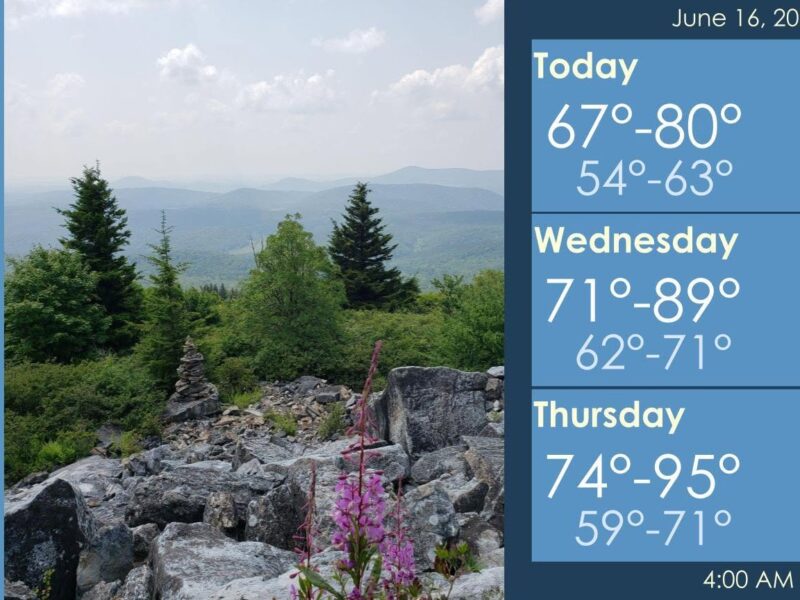 Mountain overlook with rocky foreground, pine trees, distant hazy hills, and a weather forecast panel on the right.