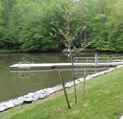 Small dock on a calm pond beside a grassy bank and wooded shoreline.