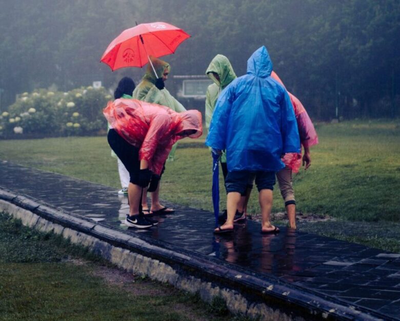 Group of people in colorful raincoats with an umbrella during rain in a lush park setting.