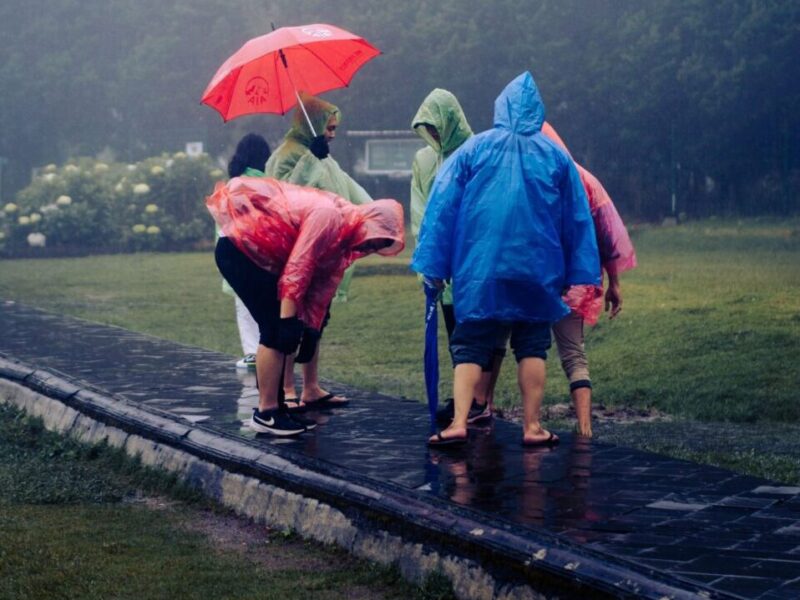 Group of people in colorful raincoats with an umbrella during rain in a lush park setting.