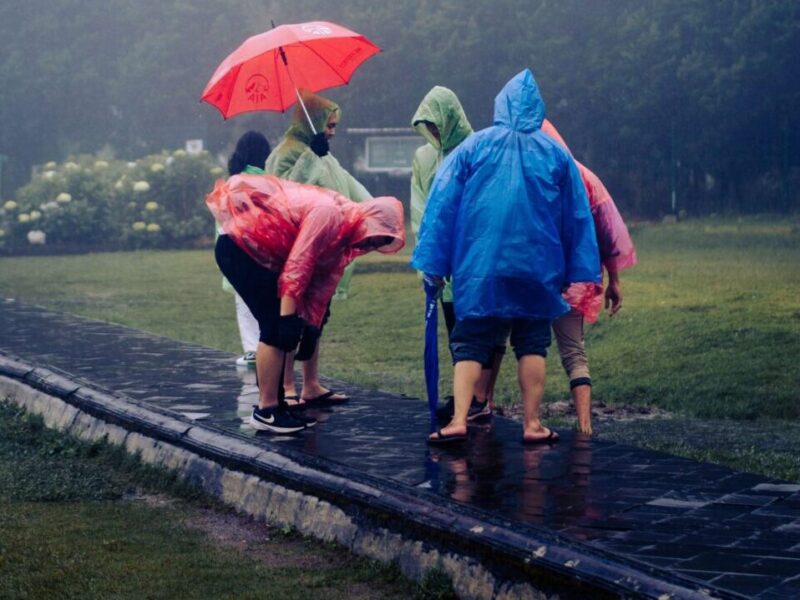 Group of people in colorful raincoats with an umbrella during rain in a lush park setting.