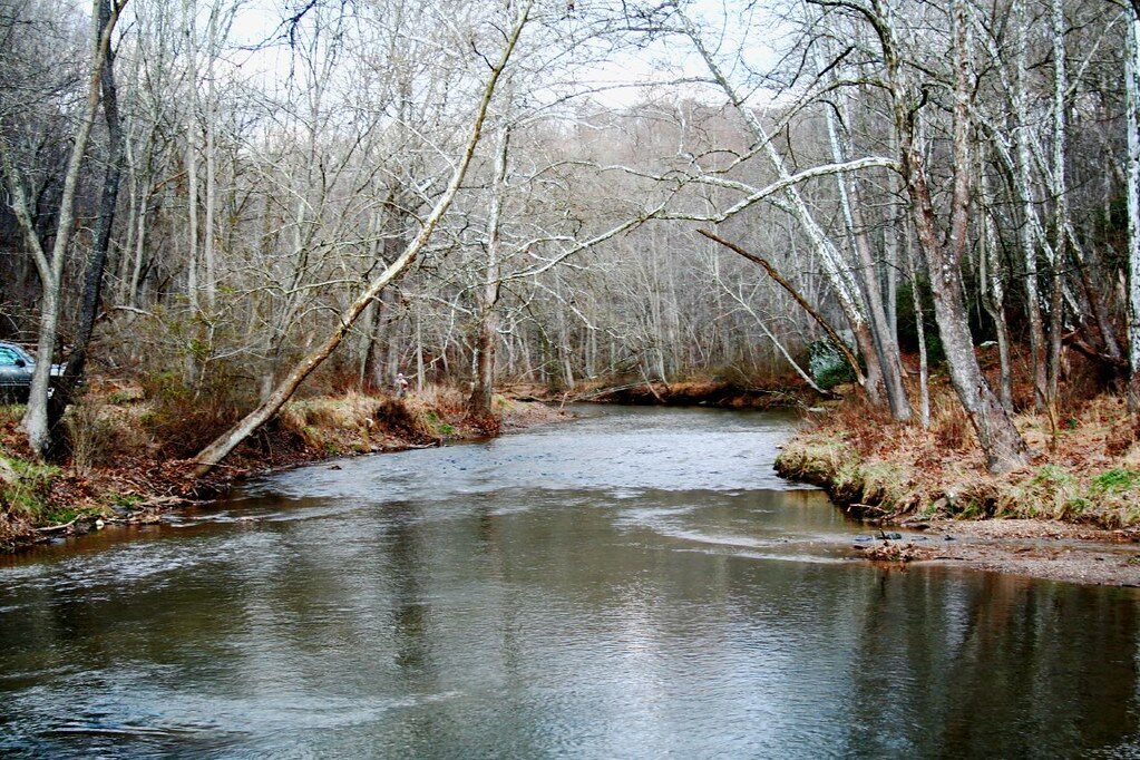 Calm river winding through a leafless forest in winter