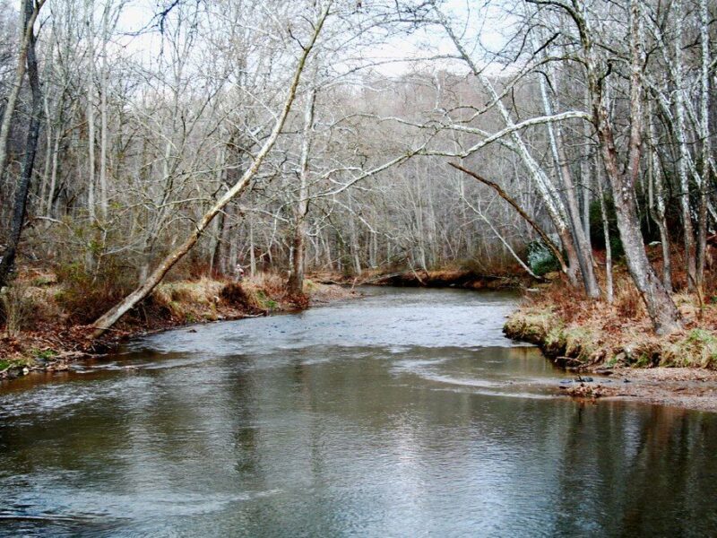 Calm river winding through a leafless forest in winter