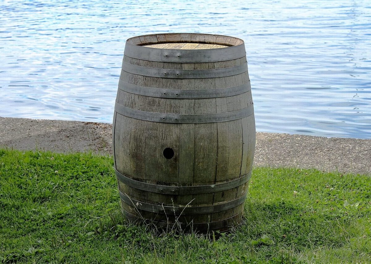 barrel, wine barrel, wooden barrel, beer keg, nature, water, lake, old barrel, meadow, barrel for beer, water barrel, keg of rum, barrel, barrel, barrel, barrel, wine barrel, beer keg, water barrel, water barrel, water barrel, water barrel, water barrel