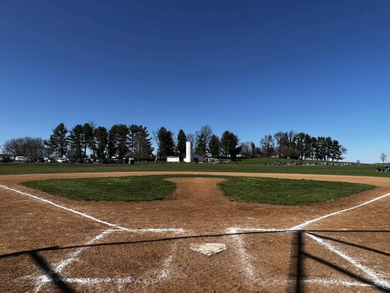 Empty baseball field under a clear blue sky with trees and a backstop in the foreground.